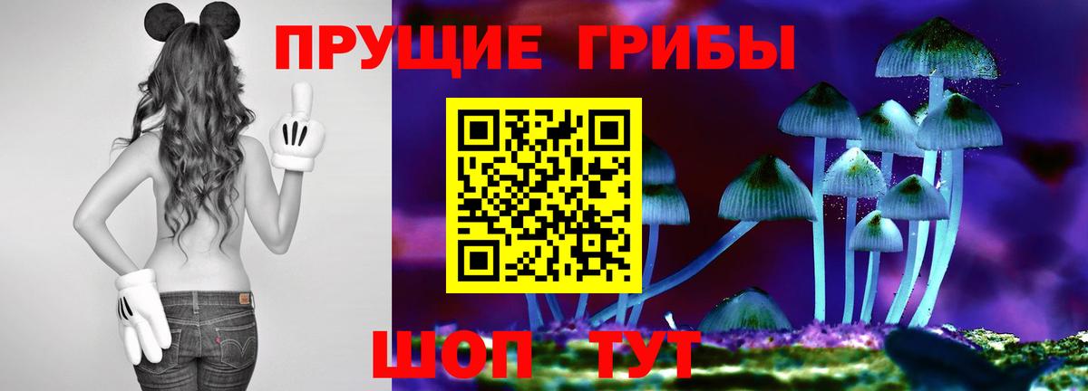 Галлюциногенные грибы Psilocybine cubensis  Псилоцибиновые грибы ЛСД  Вход с VPN  Томск 